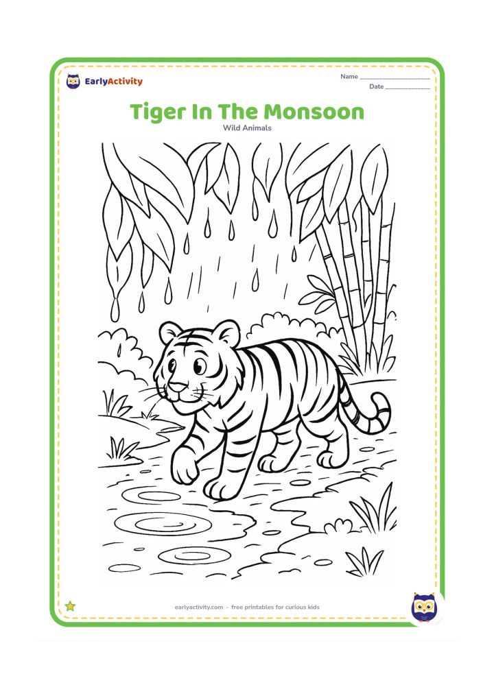 Colouring page: A tiger walks along a muddy forest path after rain, stepping around puddles beneath large leaves. Show dripping foliage, bamboo, and a small stream in the background.