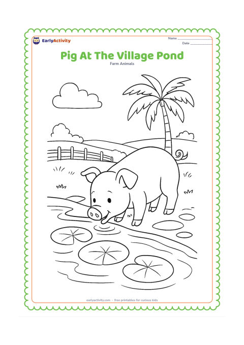 Colouring page: A pig drinks from the edge of a calm village pond, with lotus leaves, a simple stone path, a palm tree and a distant farm fence. Do not include people or writing.