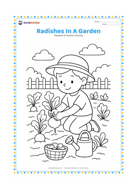 Colouring page: Draw a child pulling a round radish from a vegetable bed, with several leafy radishes still growing, a small basket and a watering can. Add neat soil rows and a low garden fence in the…