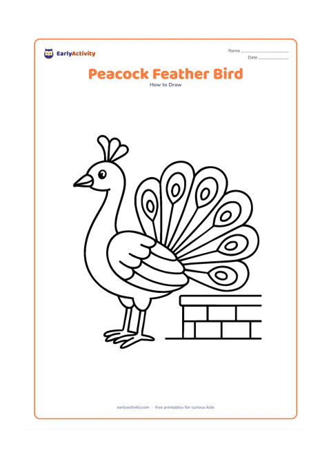 Worksheet: A side-view peacock stands beside a low garden wall with its long tail partly fanned behind it. Include a crested head, curved beak, layered wing, decorative eye-shaped tail feathers and…