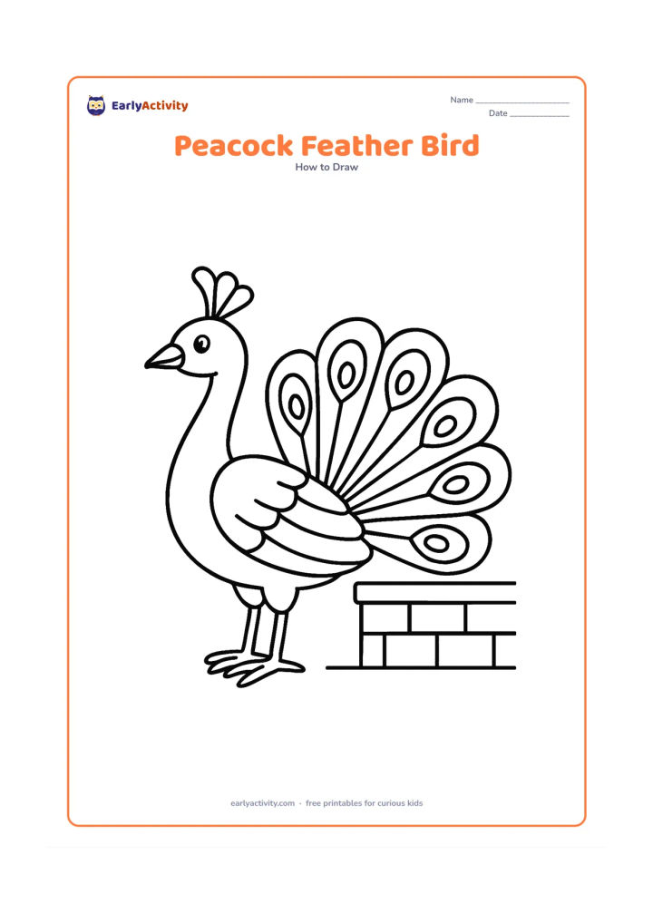 Worksheet: A side-view peacock stands beside a low garden wall with its long tail partly fanned behind it. Include a crested head, curved beak, layered wing, decorative eye-shaped tail feathers and…