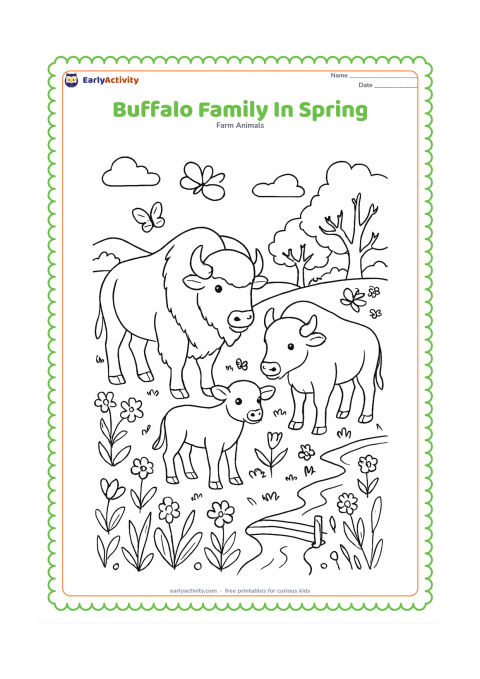 Colouring page: Draw an adult buffalo, a second adult buffalo and a calf together in a flowering spring meadow. Add butterflies, wildflowers, a small stream, a footbridge and leafy trees in the distance.