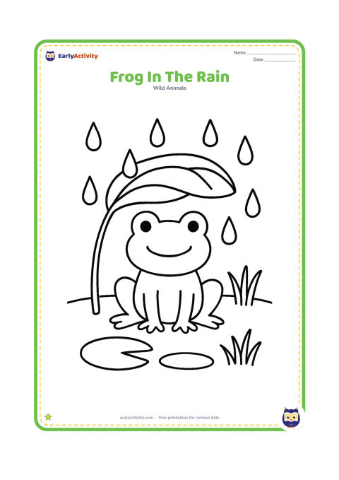 Colouring page: Draw a frog sitting beneath a large broad leaf while big raindrops fall into a shallow pond. Include one lily pad and a few short grasses.