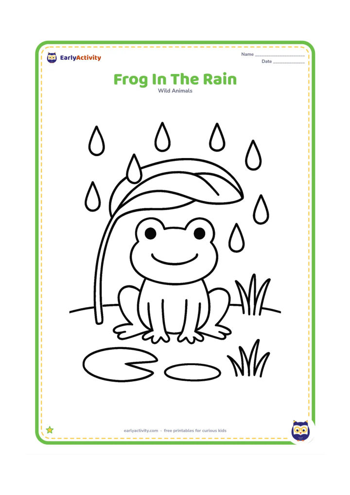 Colouring page: Draw a frog sitting beneath a large broad leaf while big raindrops fall into a shallow pond. Include one lily pad and a few short grasses.