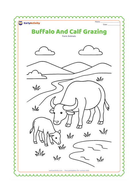 Colouring page: Draw an adult buffalo and a calf grazing together in a green field. Include a winding path, several grass clumps, a small pond and distant low hills.