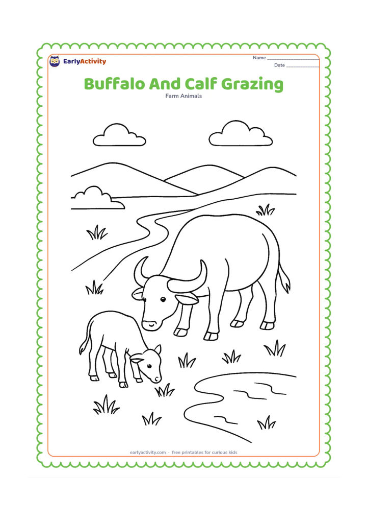 Colouring page: Draw an adult buffalo and a calf grazing together in a green field. Include a winding path, several grass clumps, a small pond and distant low hills.