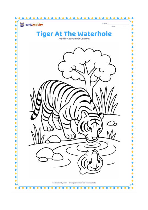 Colouring page: Draw a tiger lowering its head to drink from a small waterhole, with tall grass, stones, and a leafy tree behind it. Show its full striped body and reflection as simple curved shapes in…