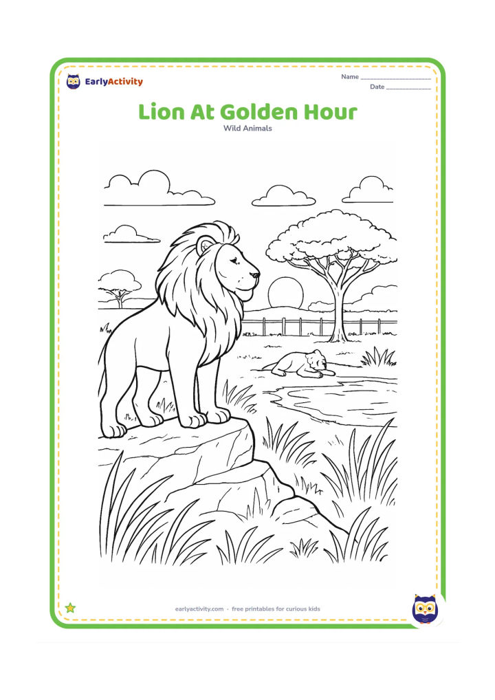 Colouring page: A lion stands on a rocky rise at golden hour, looking across a spacious zoo habitat toward a resting lioness. Add tall grasses, a watering hole, a shade tree and distant enclosure fencing.