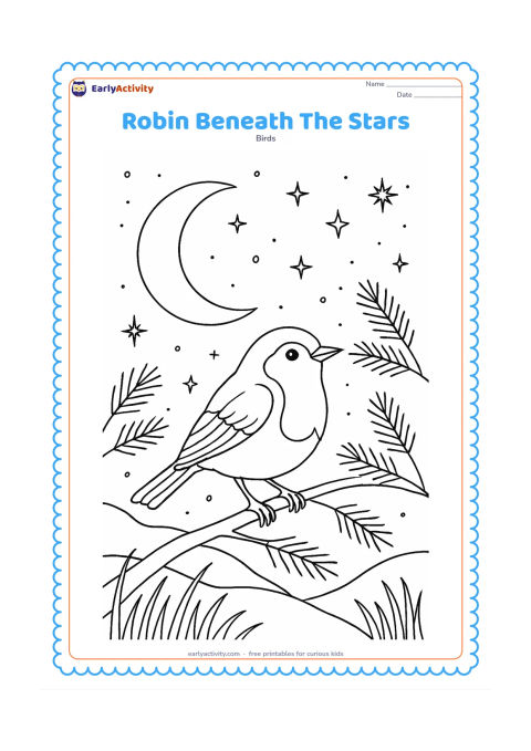 Colouring page: Draw a robin perched on a woodland branch at night, with a large crescent moon, varied stars, pine branches, distant hills and grasses around the lower edge.