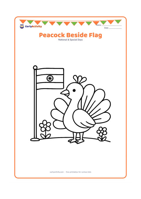 Colouring page: Draw a friendly peacock standing beside an Indian flag on a short pole, with its tail opened into large simple feather shapes. Place both on a garden ground line with two flowers.