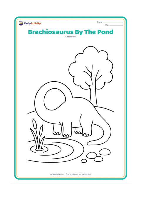 Colouring page: A smiling brachiosaurus bends its long neck to drink from a shallow pond. Add broad water ripples, two reeds, a few smooth stones and a large tree with simple leaves.