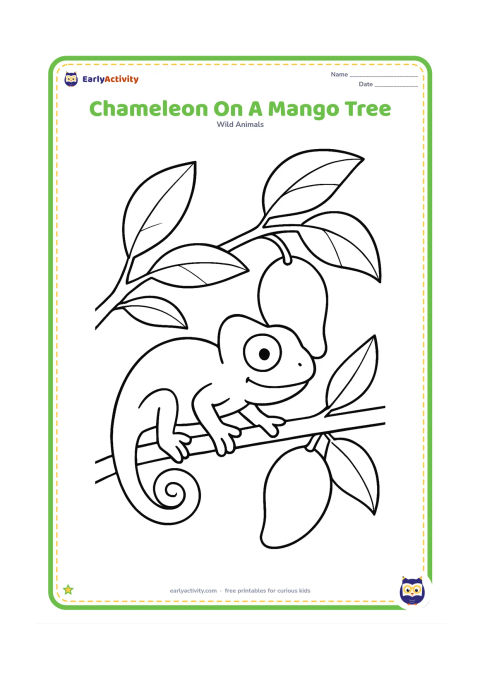 Colouring page: A chameleon climbs a mango tree branch beside two large mangoes and several broad leaves. Show its four feet gripping the bark and its tail wrapped around the branch.