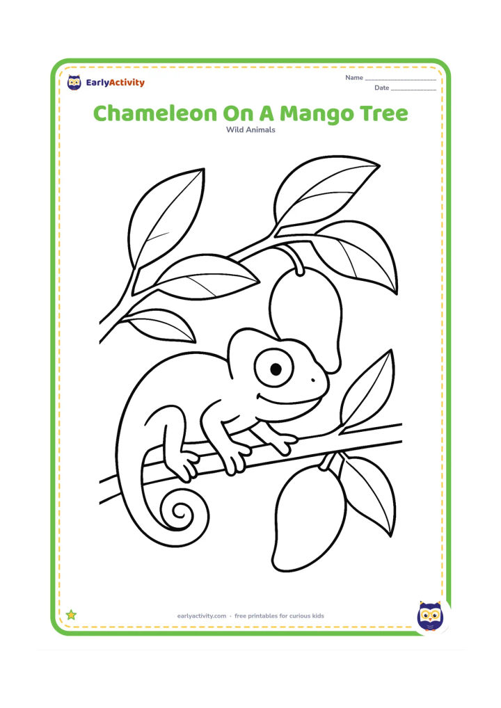 Colouring page: A chameleon climbs a mango tree branch beside two large mangoes and several broad leaves. Show its four feet gripping the bark and its tail wrapped around the branch.