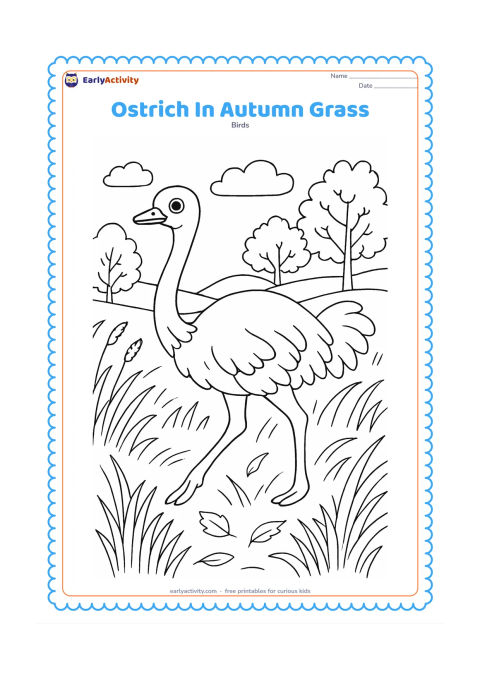 Colouring page: An ostrich walks through tall seasonal grass with seed heads and scattered fallen leaves, while trees in the distance show changing foliage. Include a gentle breeze suggested by curved…