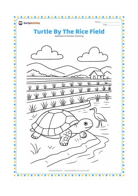 Colouring page: Draw a turtle resting on a bank beside an Indian rice field, with stepped field edges, water reflections, paddy plants, a farmer's distant hut, and low hills. Include a small egret near…