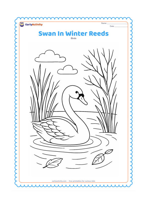 Colouring page: A swan glides through a winter pond bordered by tall bare reeds and leafless branches, with a few floating leaves and soft-looking cloud shapes overhead. Show subtle curved ripples…