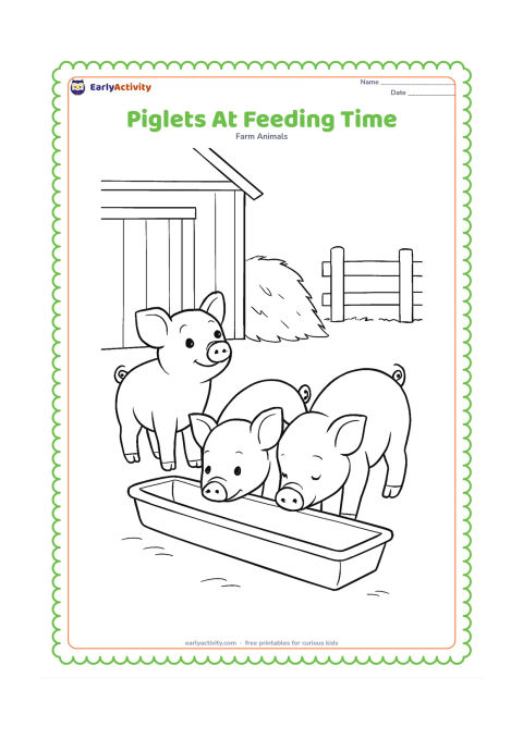 Colouring page: Three piglets gather around a long shallow trough, with one piglet looking up and two eating. Place a barn wall, hay pile and fence behind them.