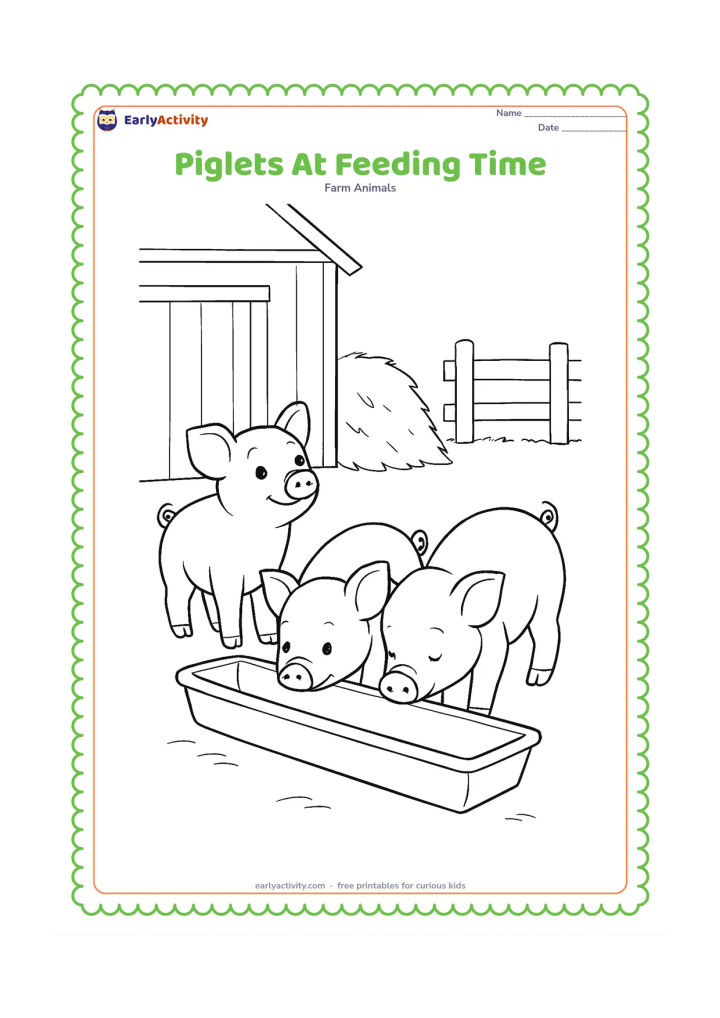 Colouring page: Three piglets gather around a long shallow trough, with one piglet looking up and two eating. Place a barn wall, hay pile and fence behind them.