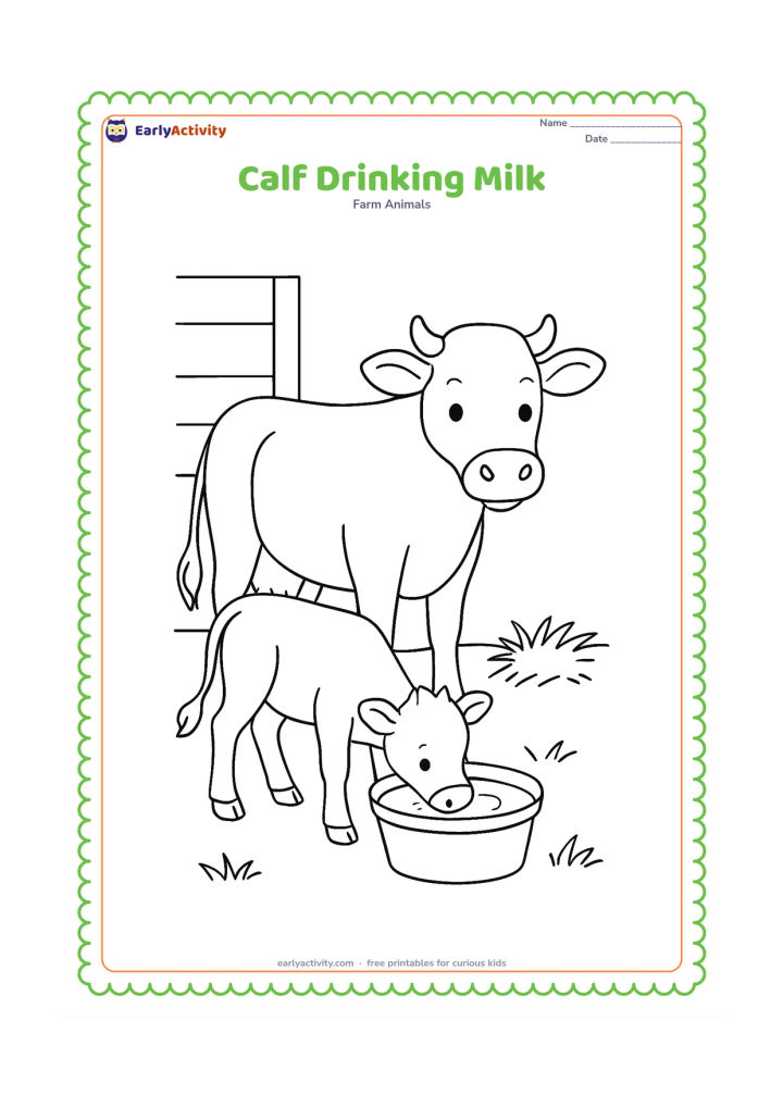 Colouring page: A young calf drinks from a shallow bucket held on the ground, with its mother cow standing protectively behind it. Add a small barn wall and a patch of hay.