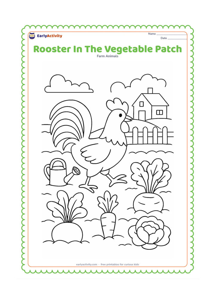 Colouring page: Draw a rooster walking between two neat rows of large vegetables in a farm garden. Add a watering can, a low fence and a distant farmhouse.