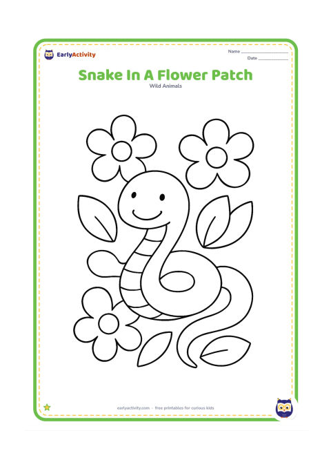 Colouring page: Draw a smiling-looking snake curled among three large simple flowers and rounded leaves. Leave plenty of open space around the snake for easy colouring.