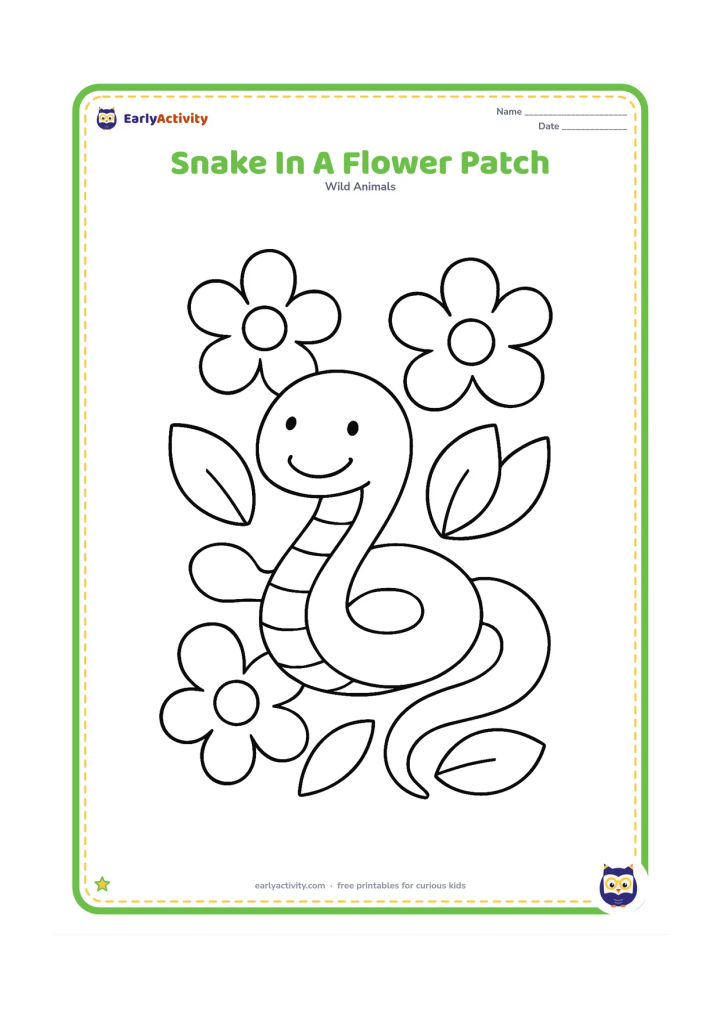 Colouring page: Draw a smiling-looking snake curled among three large simple flowers and rounded leaves. Leave plenty of open space around the snake for easy colouring.