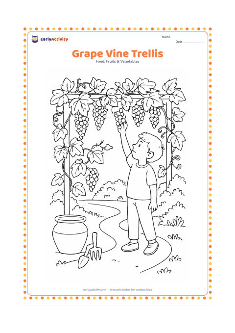 Colouring page: A garden trellis covered with grape vines and hanging clusters, with a child reaching for grapes, a clay pot, garden tools, and a winding path.