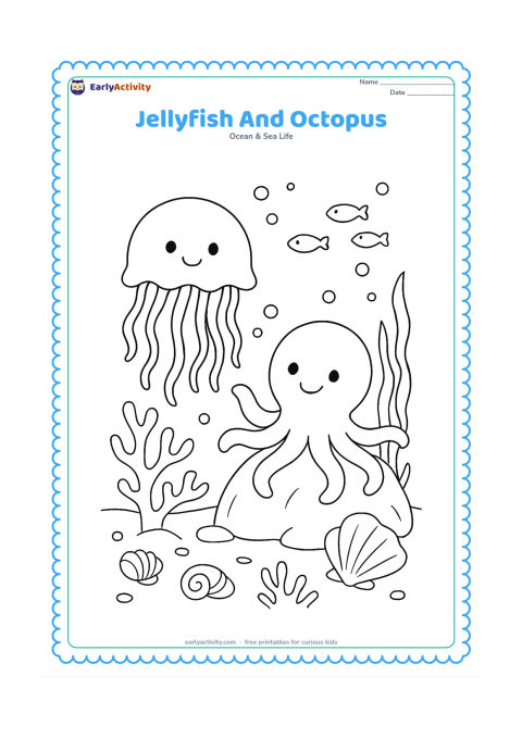 Colouring page: Draw a friendly jellyfish floating beside a small octopus resting on a rock, with both animals fully visible and not touching. Add coral, seaweed, shells, bubbles and a small school of fish.