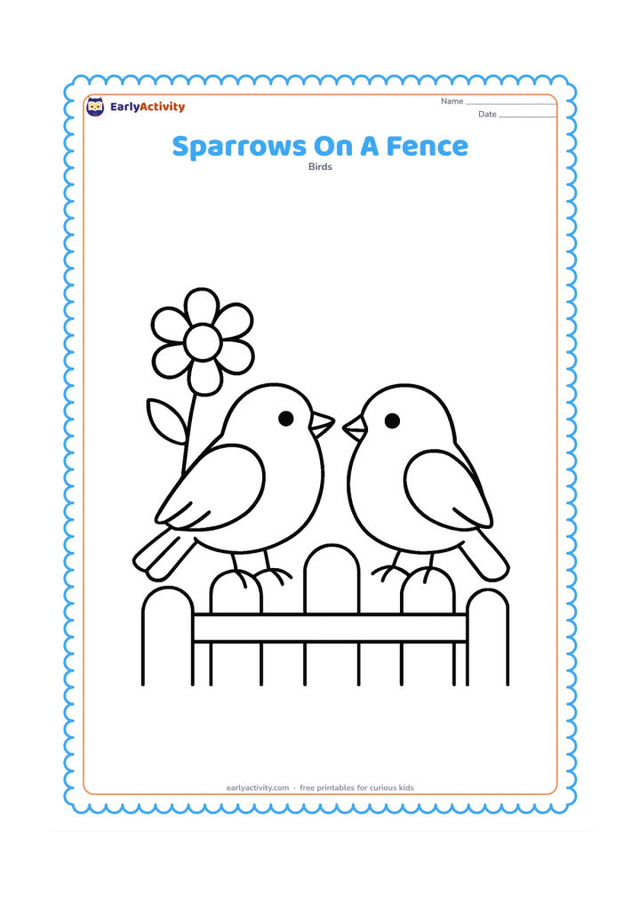Colouring page: Draw two large sparrows sitting side by side on a simple garden fence. Add one large flower and a few rounded fence posts behind them.
