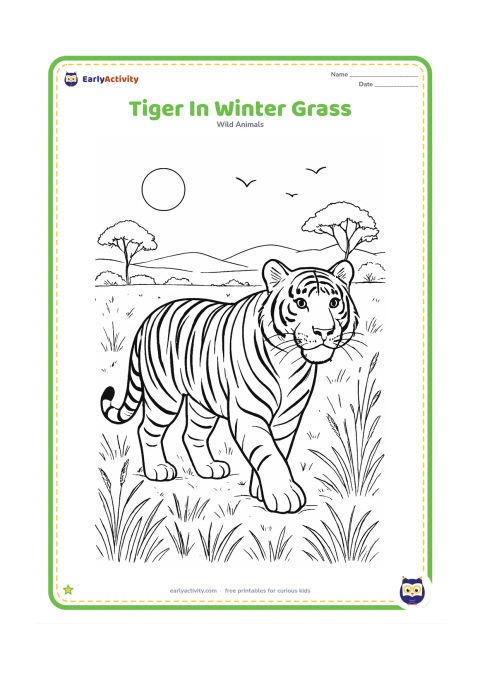 Colouring page: A tiger walks through a cool-season Indian grassland with dry seed heads, sparse trees, distant hills, and a pale winter sun. Add detailed fur stripes, grass textures, and a few birds…