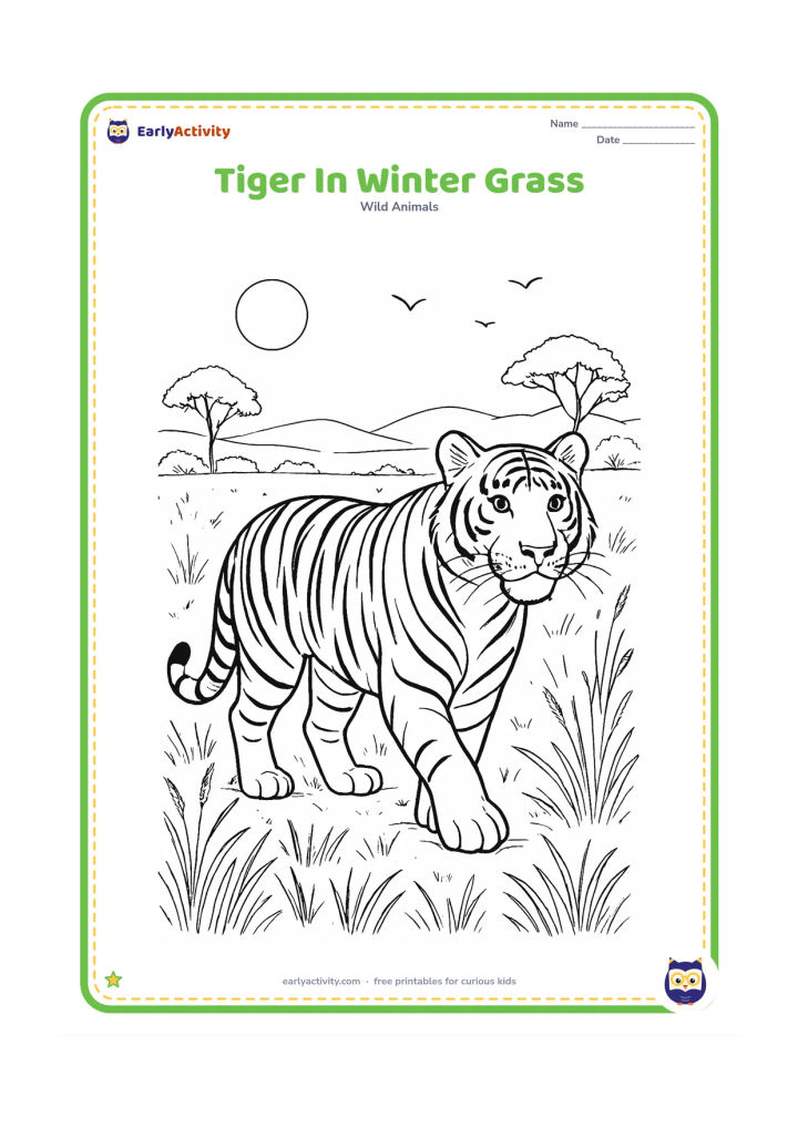 Colouring page: A tiger walks through a cool-season Indian grassland with dry seed heads, sparse trees, distant hills, and a pale winter sun. Add detailed fur stripes, grass textures, and a few birds…