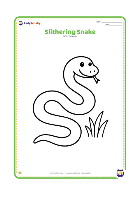 Colouring page: Draw a long snake making a clear S-shaped path across the ground, with its head at one end and a few large blades of grass nearby. Show the whole body in one easy-to-follow shape.