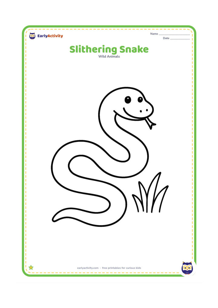 Colouring page: Draw a long snake making a clear S-shaped path across the ground, with its head at one end and a few large blades of grass nearby. Show the whole body in one easy-to-follow shape.