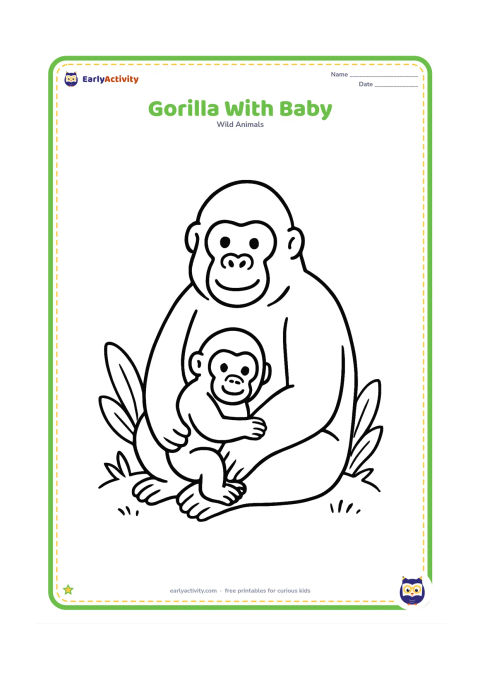 Colouring page: An adult gorilla sits with a baby gorilla cuddled against its belly. Place them on a simple grassy patch with one broad plant on each side.