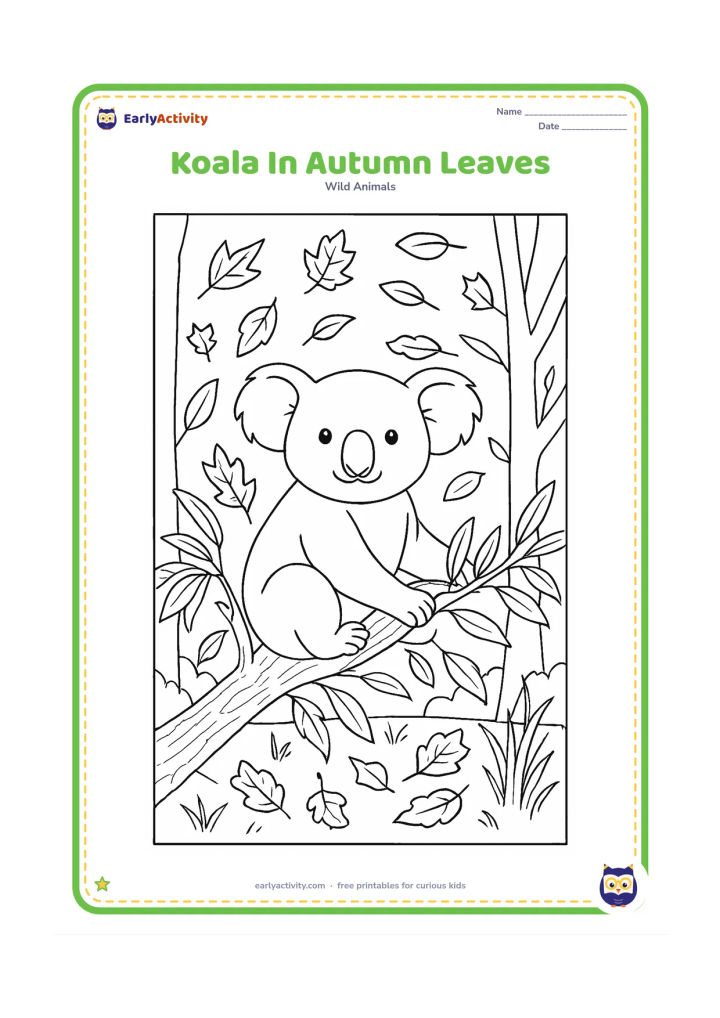 Colouring page: Draw a koala sitting on a low branch as leaves drift around it in an autumn forest. Include detailed eucalyptus foliage, fallen leaves, textured bark, grasses and distant tree trunks.