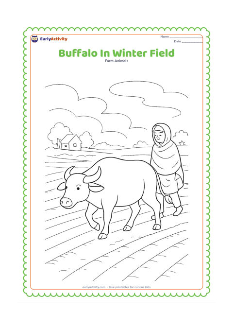 Colouring page: Draw a buffalo walking through a cool morning field with light mist, bare crop rows and a farmer wearing a simple shawl. Include a small farmhouse and distant trees.