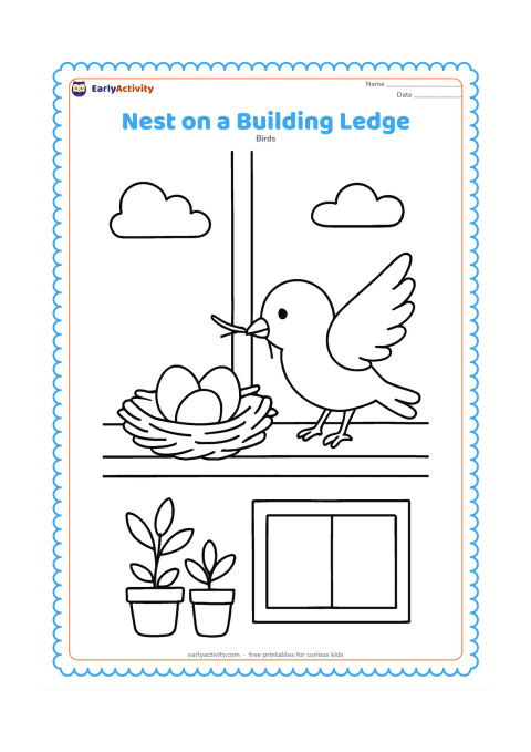 Colouring page: A small nest with eggs rests safely on a building ledge, while a parent bird lands beside it carrying a twig. Include a window outline, a few potted plants and a simple sky background.