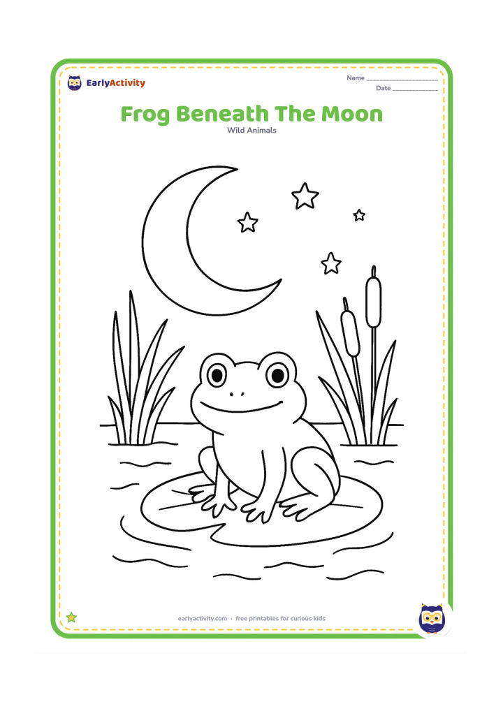 Colouring page: Draw a frog resting on a lily pad at night, with a large crescent moon, tall grasses, cattails and small ripples across the pond. Add a few simple stars in the open sky.