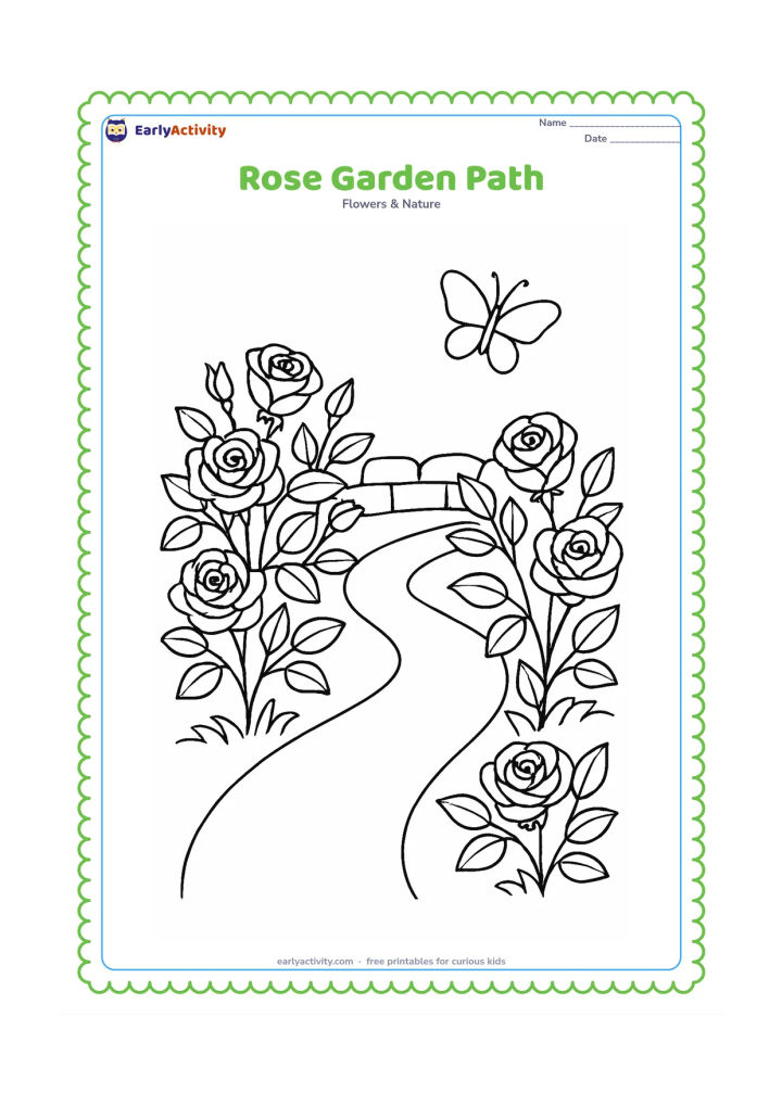 Colouring page: Draw a curved path leading through two rose bushes, with several open roses, buds, leaves, a low garden wall, and a butterfly in the distance.
