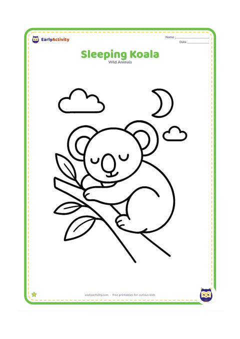 Colouring page: Draw a sleepy koala curled around a thick tree branch with closed eyes. Add a simple crescent moon, two clouds and a few large eucalyptus leaves.