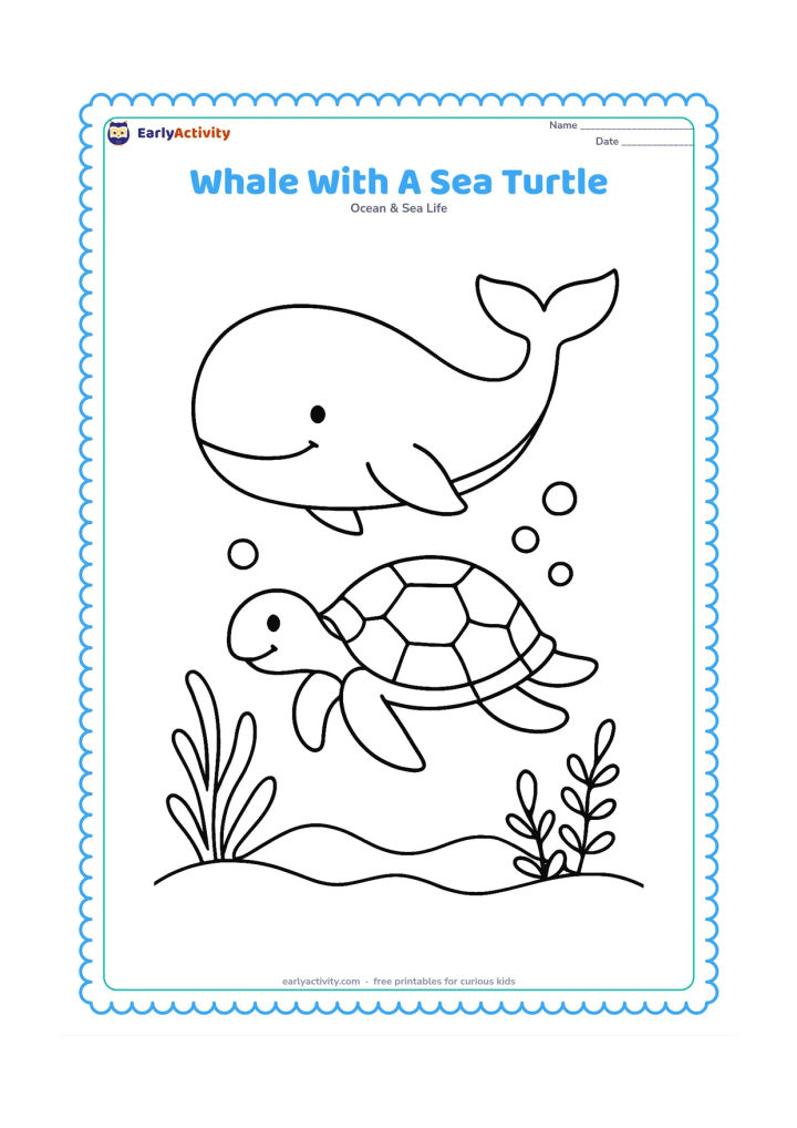 Colouring page: Show a whale gliding above a friendly sea turtle, with bubbles, a few sea plants, and a gently curving ocean floor. Give the turtle a simple shell pattern with large sections.