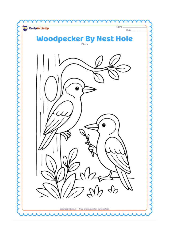 Colouring page: A woodpecker sits beside a tree hole while another woodpecker approaches with a small twig. Include the tree trunk, a curved branch and leafy woodland plants.