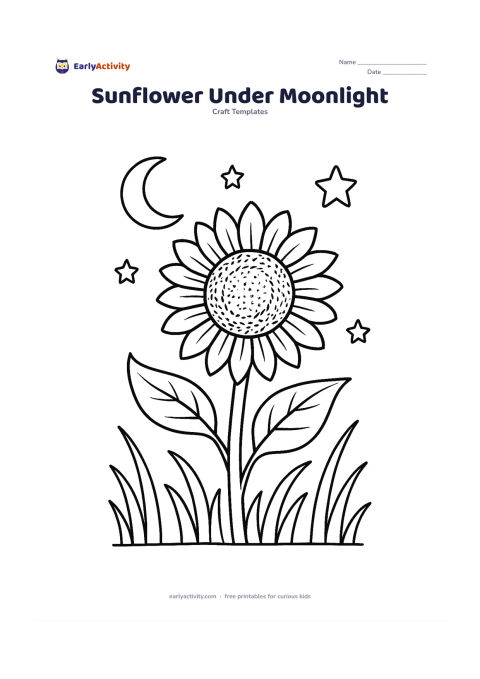 Worksheet: A detailed sunflower with two layers of petals and a textured circular centre, standing in a night garden with curved leaves, tall grass, a crescent moon and a few large stars. Keep the…