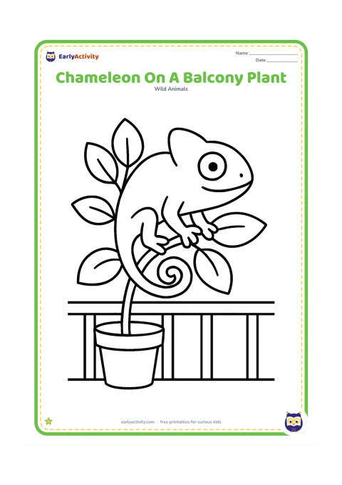Colouring page: A chameleon climbs a leafy plant in a simple home balcony scene, with a railing, one pot and a few large leaves. Show the chameleon's tail curled around a stem.
