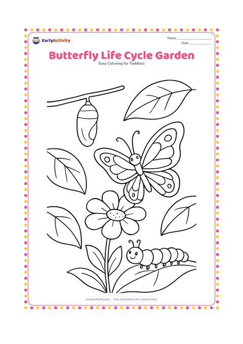 Colouring page: Draw a garden scene with a butterfly on a flower, a caterpillar on a leaf and a simple chrysalis hanging from a twig, with a few large leaves around them.