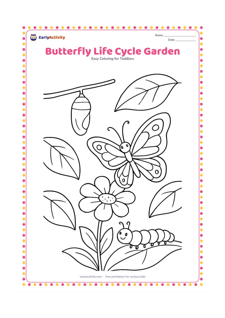 Colouring page: Draw a garden scene with a butterfly on a flower, a caterpillar on a leaf and a simple chrysalis hanging from a twig, with a few large leaves around them.