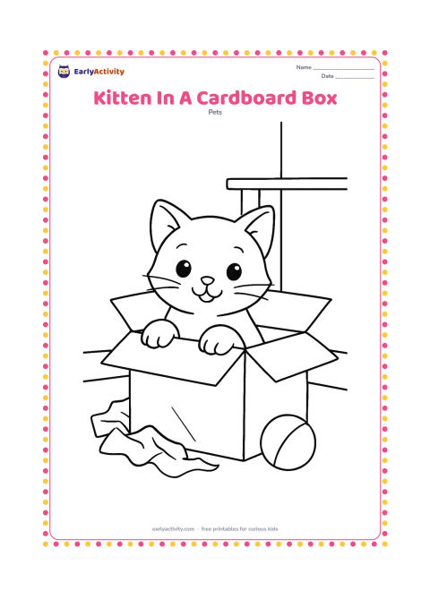 Colouring page: A kitten pops out of a cardboard box with its front paws over the edge. Show crumpled packing paper, a nearby ball and a simple shelf in the background.