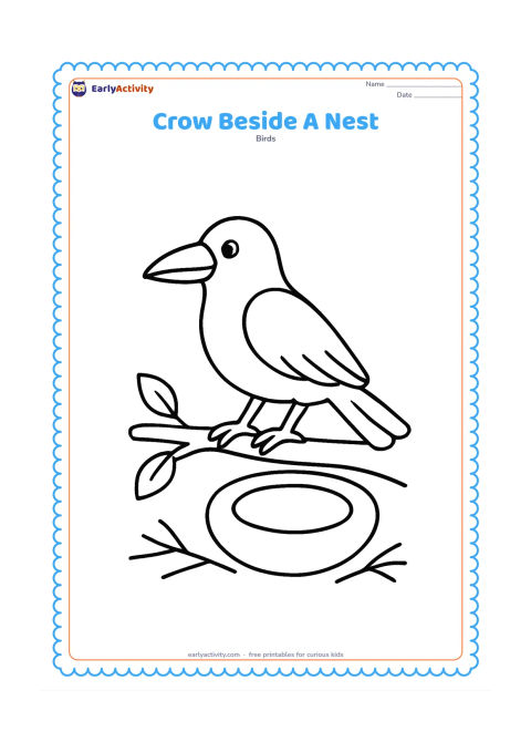 Colouring page: A crow stands on a low branch beside a large round nest, with two loose twigs underneath and a few leaves.