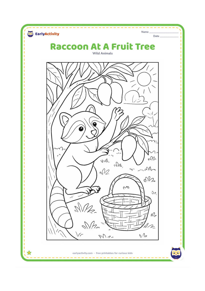 Colouring page: Draw a raccoon reaching from a low branch toward several mangoes, with its hind feet gripping the branch and its ringed tail hanging down. Include detailed leaves, smaller branches, a…