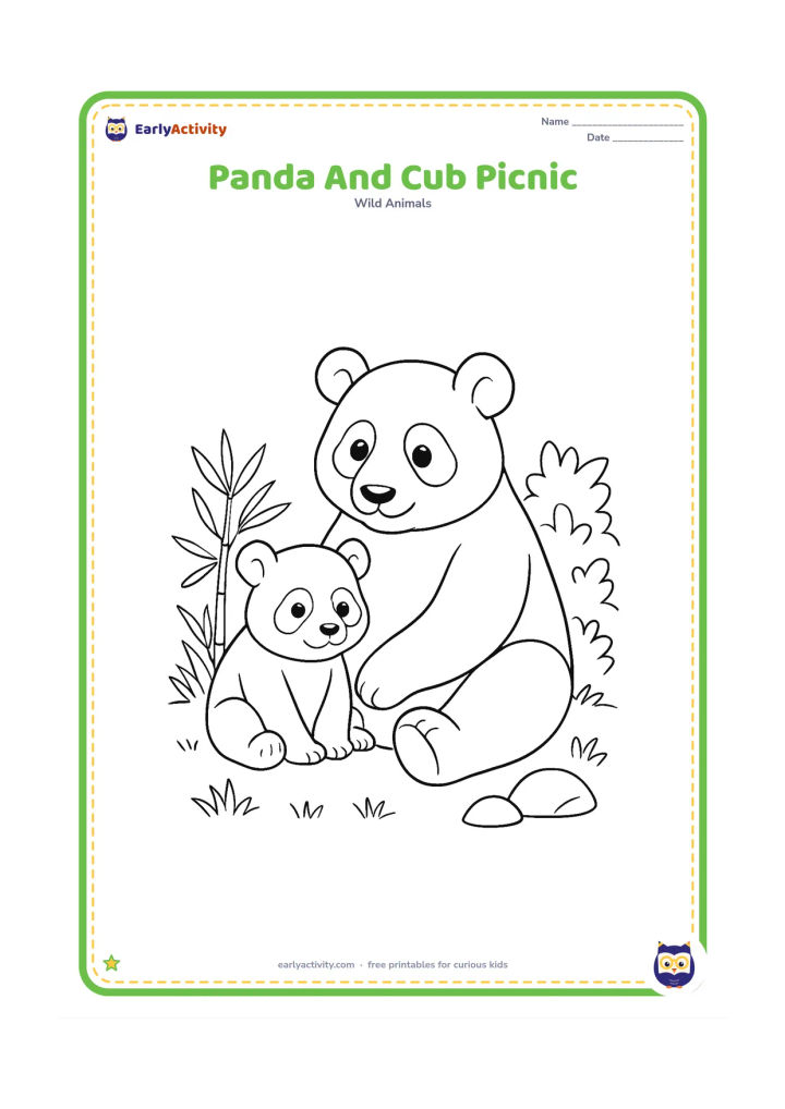 Colouring page: Draw an adult panda and cub sitting together on a forest clearing beside a small pile of bamboo. Add grass tufts, two rocks and a leafy shrub.